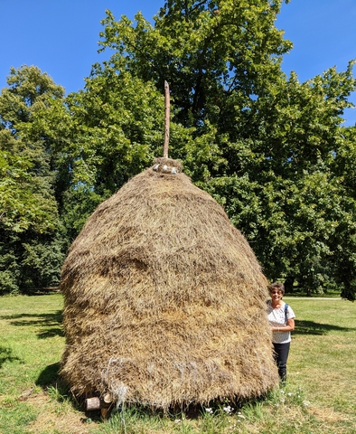 Tagesausflge Spreewald Entdecken